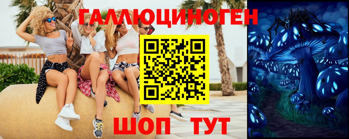 Псилоцибиновые грибы мицелий  Вход с VPN  Донской  Псилоцибиновые грибы прущие грибы 